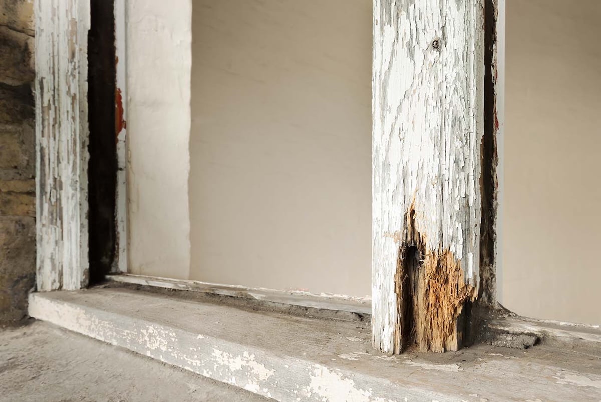 rotting wood outdoor kitchen material